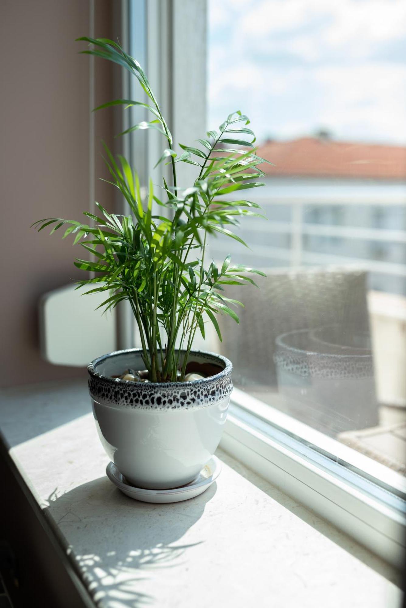 Mdm Apartment City Center Ruse Zewnętrze zdjęcie
